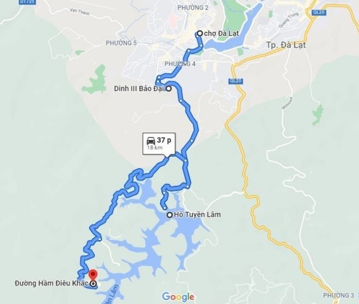 Đường đi cung đường hoa dã quỳ hướng Dinh 3 – Hồ Tuyền Lâm – Đường Hầm Đất Sét