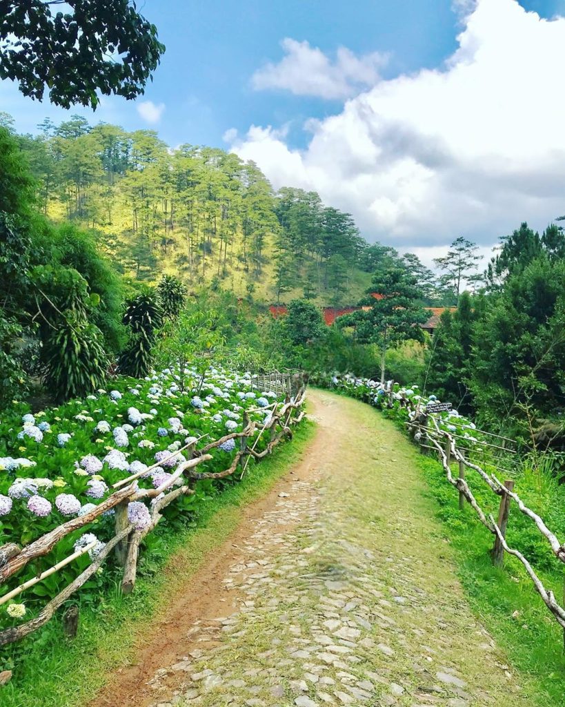 Con đường chill chill trong “làng”